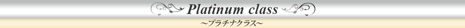 플래티넘 클래스